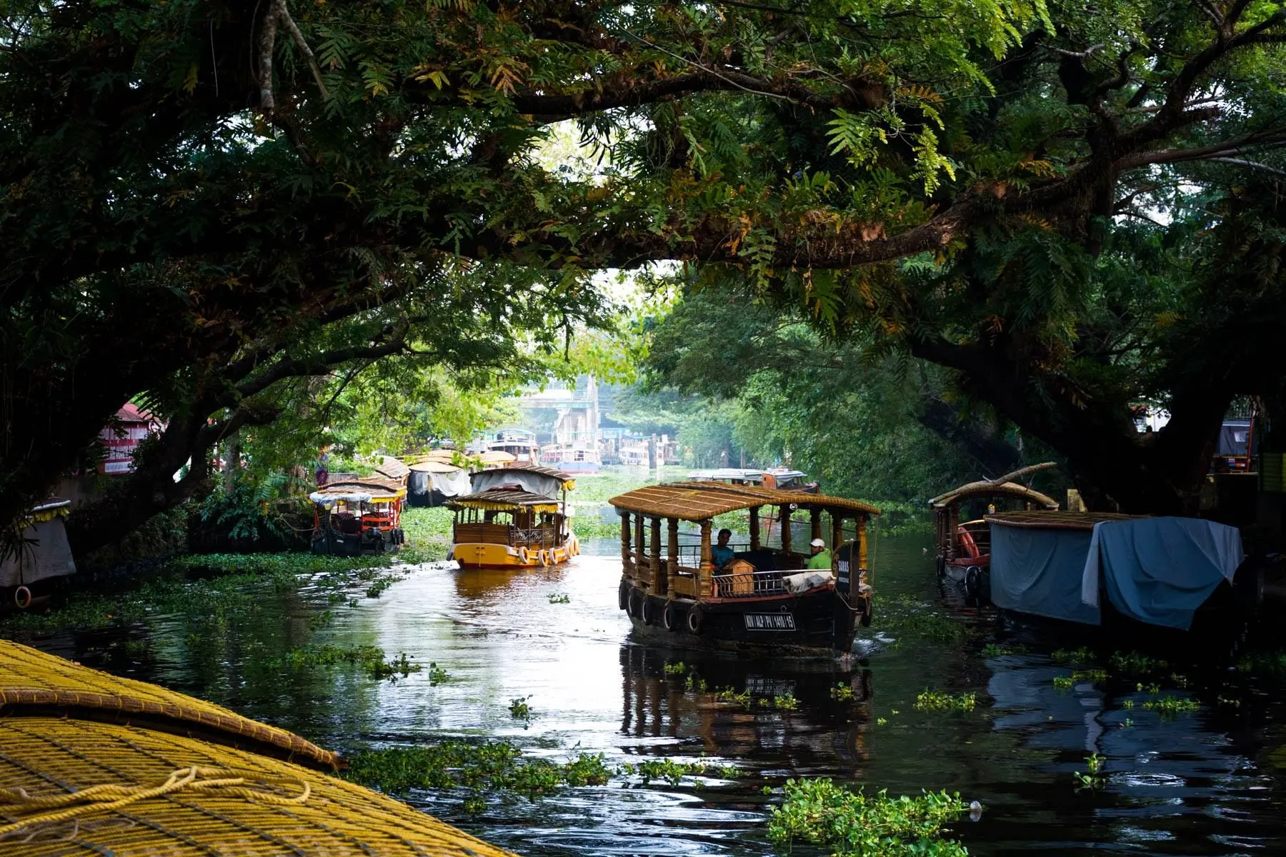 Kerala Tour Packages