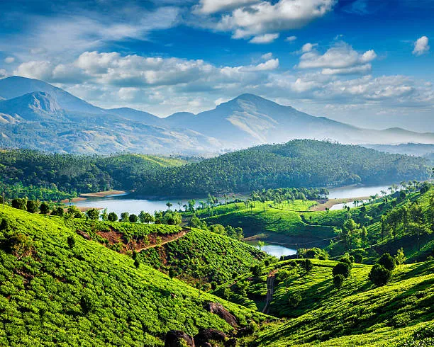 Scenic hills and tea gardens in Munnar