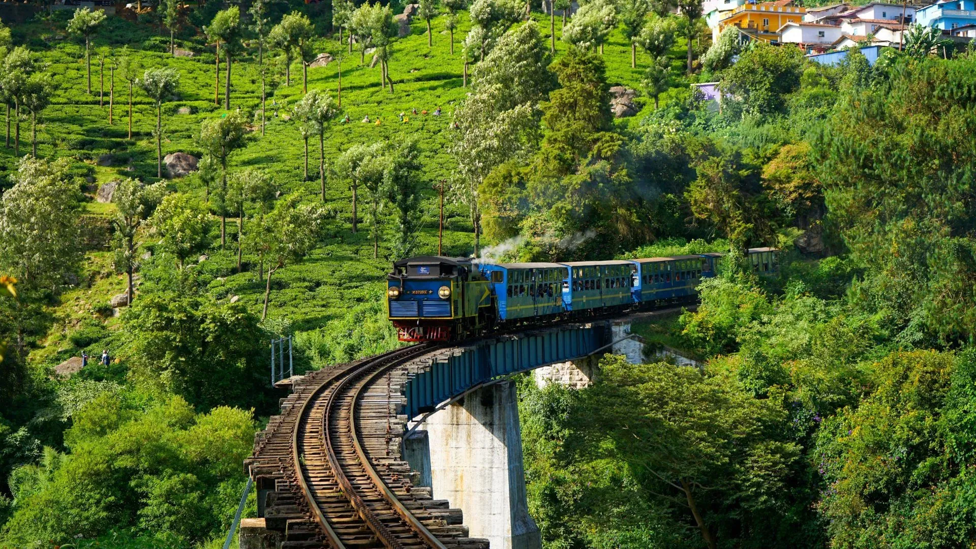 Scenic hills and tea gardens in Ooty