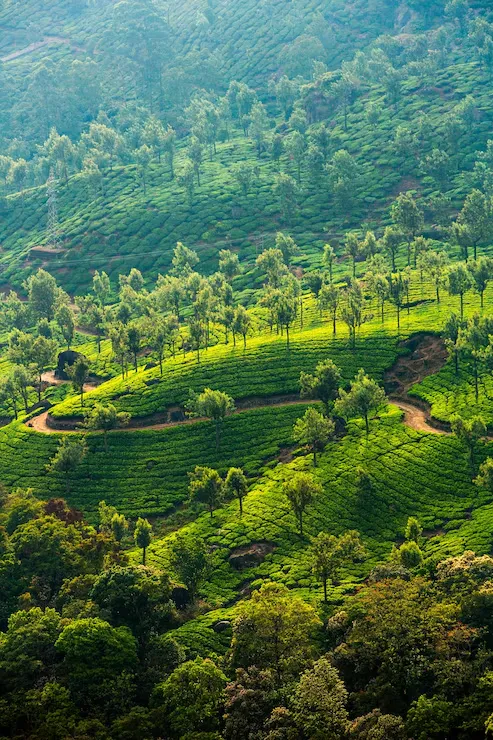 Kerala travel destination