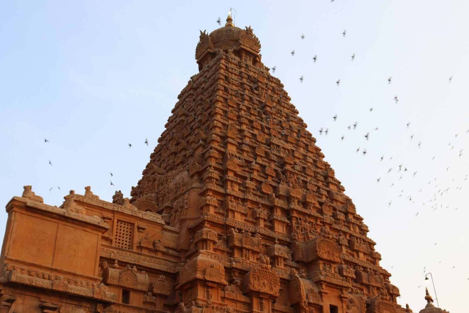 Bus Rental in Trichy