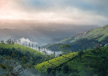 Travel Agency in Trichy